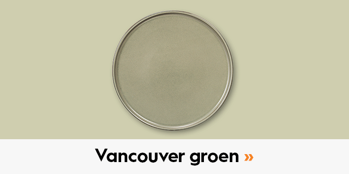 https://www.blokker.nl/vancouver-servies-groen